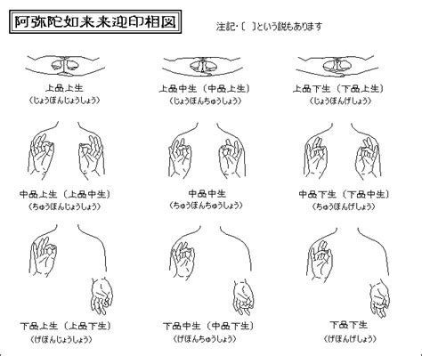 四季印相|四季の印 長相思 AS